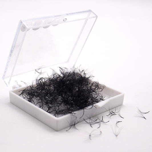3D-6D Pro Made Loose Fan Lash 0.10 Thickness