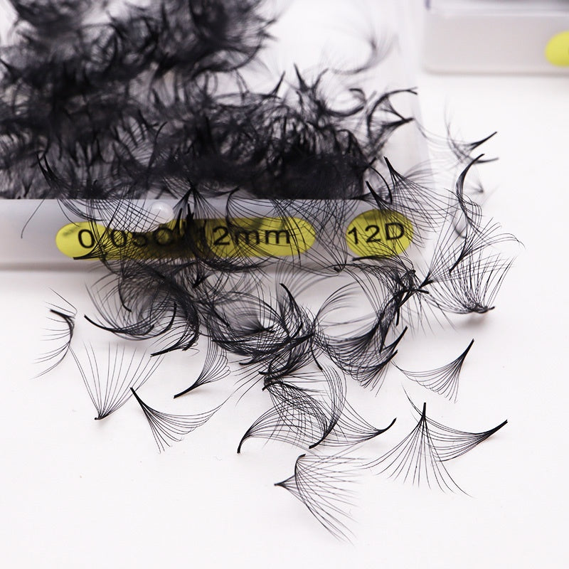 Pointy Base Loose Fan Lash 5D 6D 0.05 0.07 1000 Fans